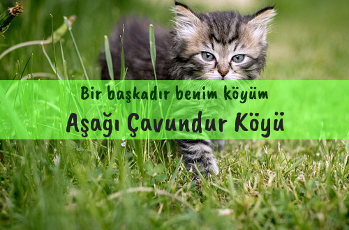 Aşağı Çavundur Köyü